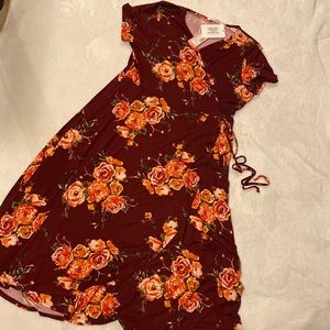 NWT Chris and Carol Dress Large